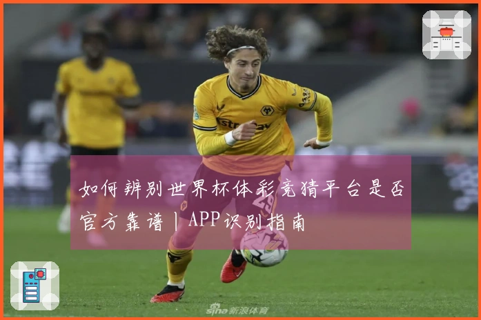 如何辨别世界杯体彩竞猜平台是否官方靠谱丨APP识别指南
