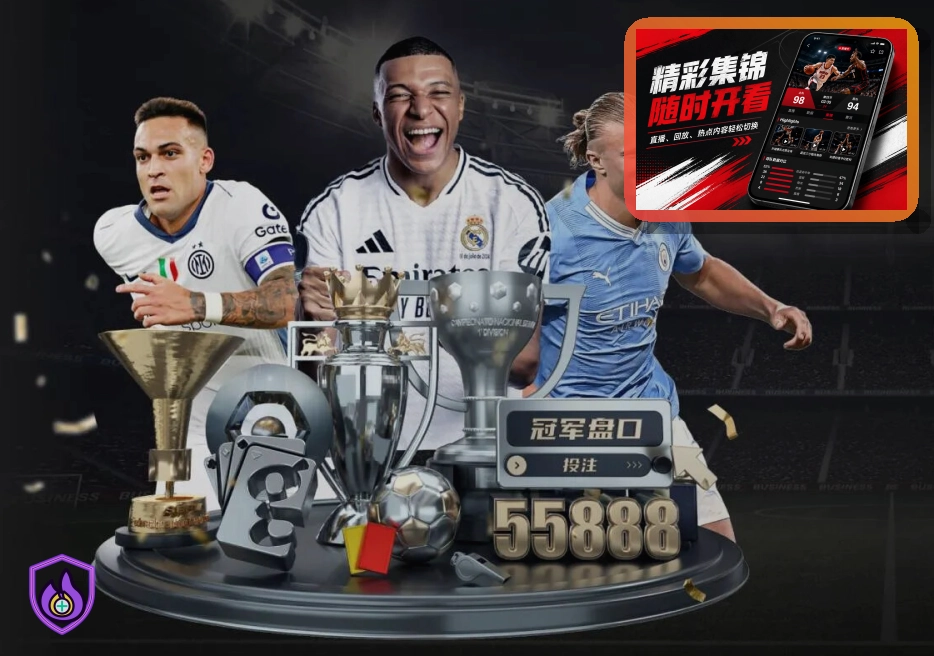 B体育安全合规证书介绍